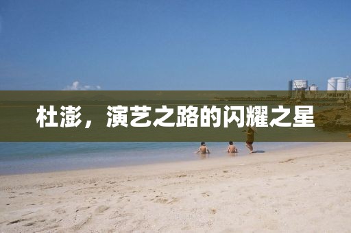 杜澎，演藝之路的閃耀之星