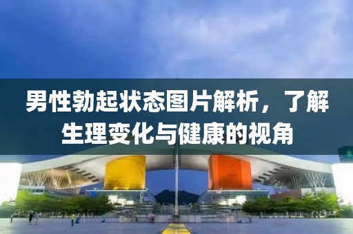 男性勃起狀態(tài)圖片解析，了解生理變化與健康的視角