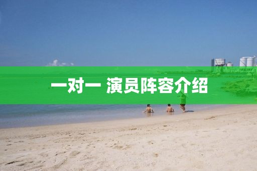 一對一 演員陣容介紹