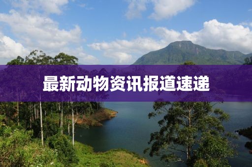 最新動(dòng)物資訊報(bào)道速遞