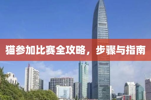 貓參加比賽全攻略，步驟與指南