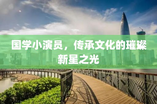 國(guó)學(xué)小演員，傳承文化的璀璨新星之光