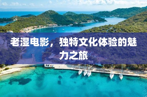 老濕電影，獨(dú)特文化體驗(yàn)的魅力之旅