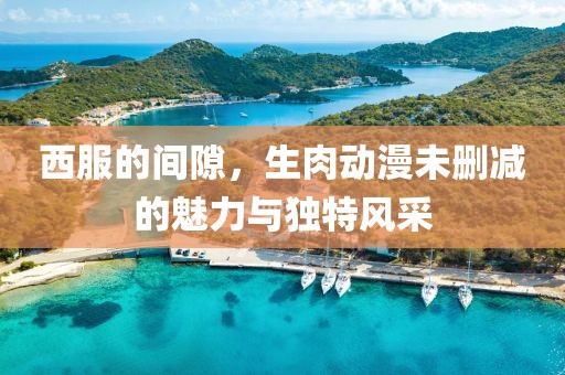西服的間隙，生肉動漫未刪減的魅力與獨(dú)特風(fēng)采