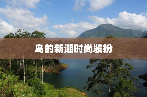 鳥的新潮時尚裝扮