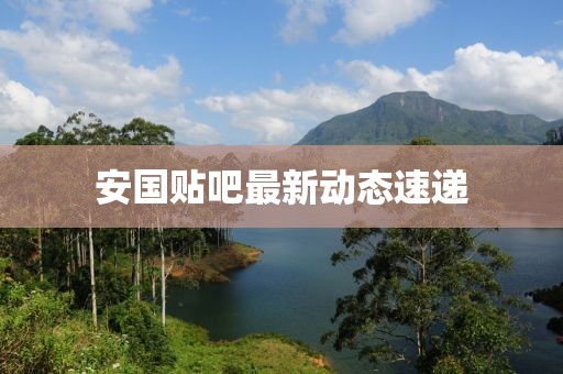 安國貼吧最新動態(tài)速遞