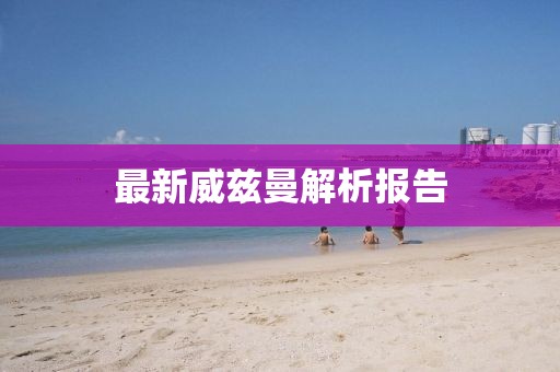 最新威茲曼解析報(bào)告
