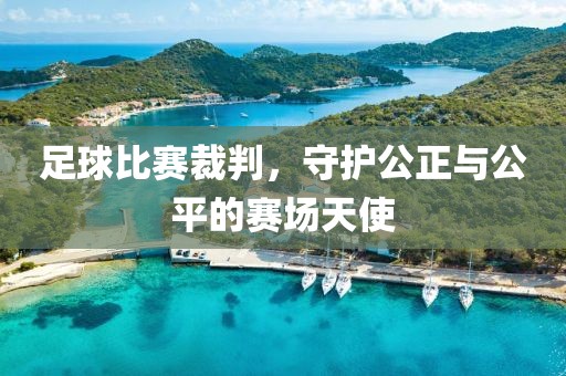足球比賽裁判，守護(hù)公正與公平的賽場天使