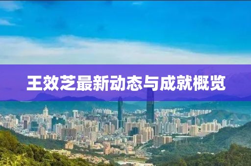 王效芝最新動態(tài)與成就概覽