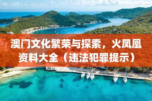 澳門文化繁榮與探索，火鳳凰資料大全（違法犯罪提示）