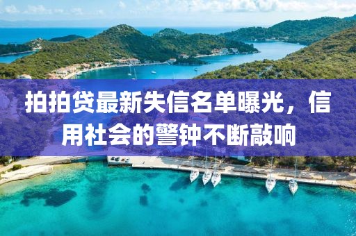 拍拍貸最新失信名單曝光，信用社會(huì)的警鐘不斷敲響