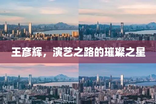 王彥輝，演藝之路的璀璨之星