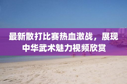 最新散打比賽熱血激戰(zhàn)，展現(xiàn)中華武術(shù)魅力視頻欣賞