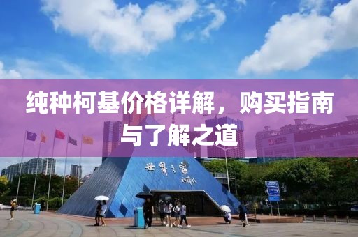 純種柯基價格詳解，購買指南與了解之道