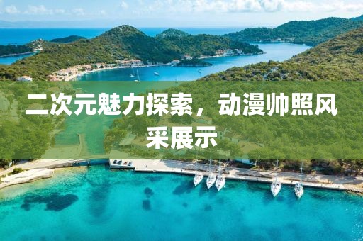 二次元魅力探索，動(dòng)漫帥照風(fēng)采展示