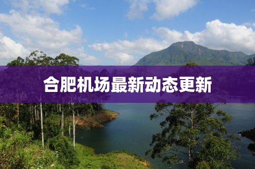 合肥機(jī)場(chǎng)最新動(dòng)態(tài)更新