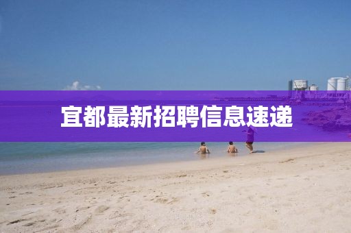 宜都最新招聘信息速遞