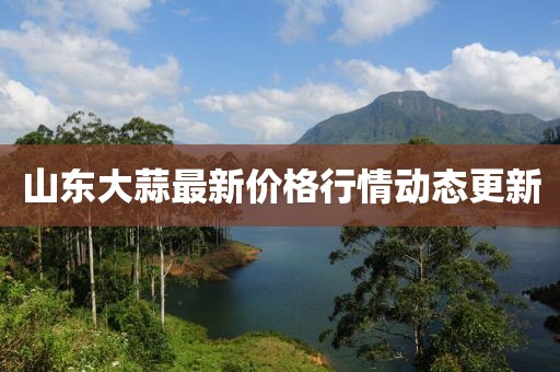 山東大蒜最新價(jià)格行情動(dòng)態(tài)更新