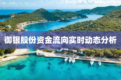 御銀股份資金流向實時動態(tài)分析