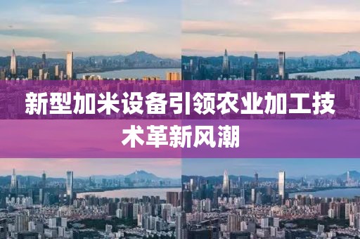 新型加米設(shè)備引領(lǐng)農(nóng)業(yè)加工技術(shù)革新風(fēng)潮