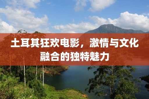 土耳其狂歡電影，激情與文化融合的獨(dú)特魅力