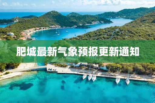閎雪曼 第2頁