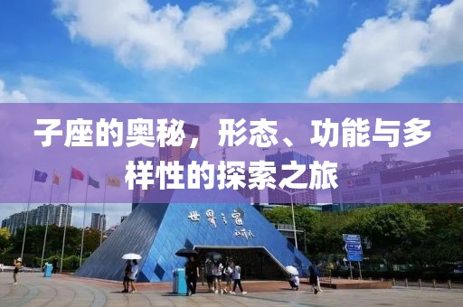 子座的奧秘，形態(tài)、功能與多樣性的探索之旅