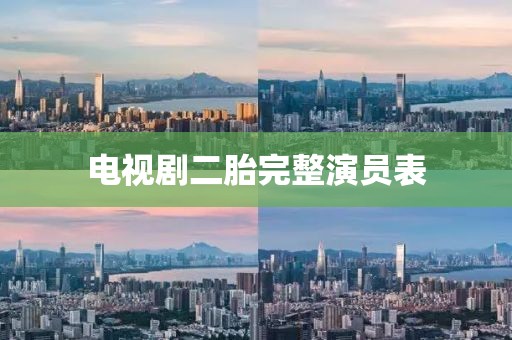 電視劇二胎完整演員表