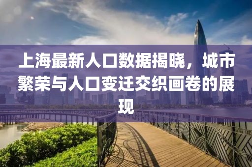 上海最新人口數據揭曉，城市繁榮與人口變遷交織畫卷的展現