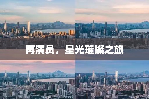 苒演員，星光璀璨之旅