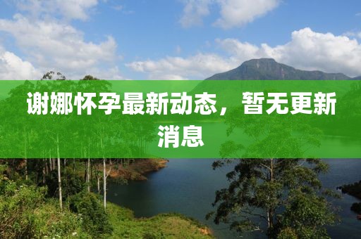 謝娜懷孕最新動態(tài)，暫無更新消息