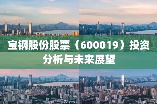 寶鋼股份股票（600019）投資分析與未來展望