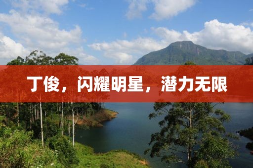 丁俊，閃耀明星，潛力無限