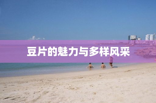 豆片的魅力與多樣風(fēng)采