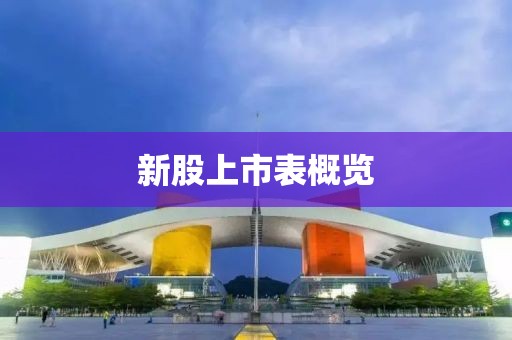 新股上市表概覽