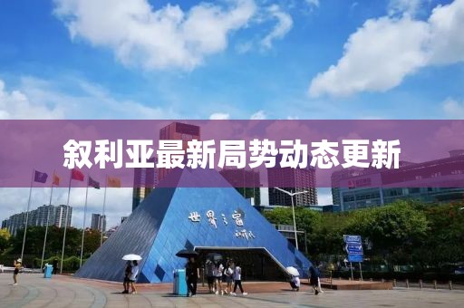 敘利亞最新局勢動態(tài)更新