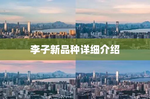 李子新品種詳細(xì)介紹