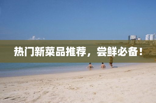 熱門(mén)新菜品推薦，嘗鮮必備！