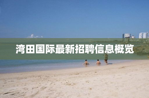 灣田國際最新招聘信息概覽