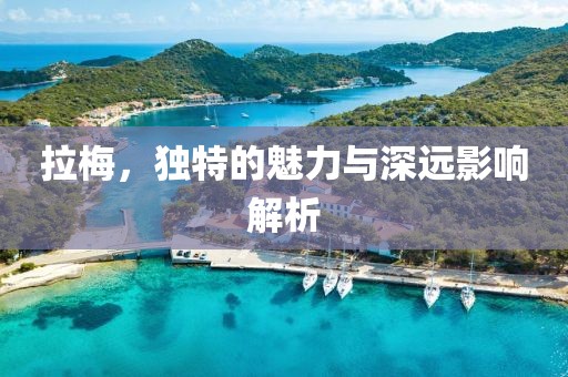 拉梅，獨特的魅力與深遠(yuǎn)影響解析