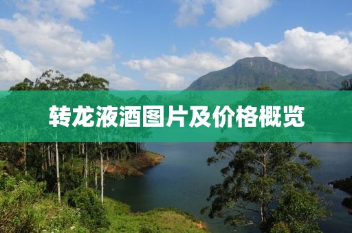 轉(zhuǎn)龍液酒圖片及價格概覽