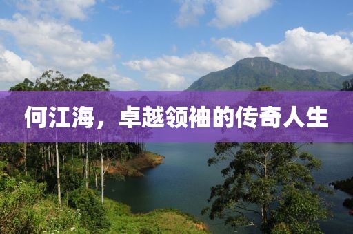 何江海，卓越領(lǐng)袖的傳奇人生