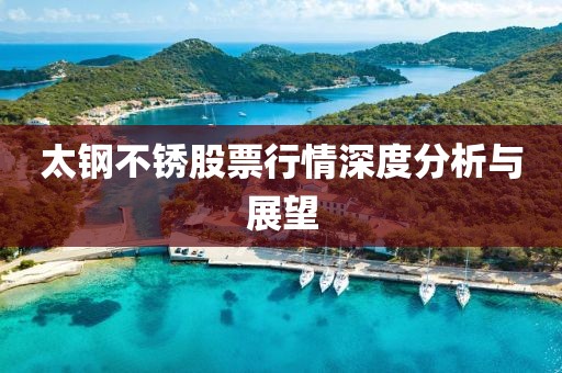 太鋼不銹股票行情深度分析與展望