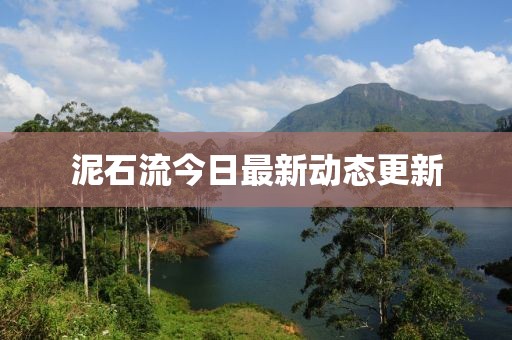 泥石流今日最新動(dòng)態(tài)更新