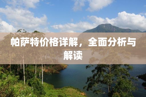 帕薩特價(jià)格詳解，全面分析與解讀