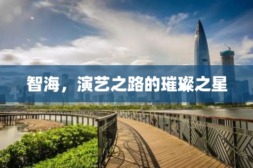 智海，演藝之路的璀璨之星