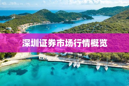 深圳證券市場行情概覽