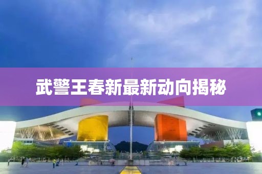 武警王春新最新動向揭秘