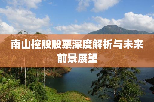 南山控股股票深度解析與未來前景展望