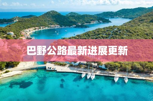 巴野公路最新進(jìn)展更新
